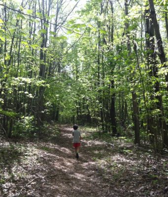 Boyer Nature Preserve